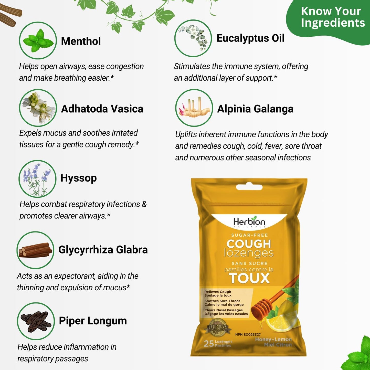 Herbion Naturals 无糖止咳润喉糖，天然蜂蜜柠檬味，25 粒润喉糖，缓解咳嗽和鼻塞，舒缓咽喉痛，适​​用于成人和 12 岁及以上儿童，1 包