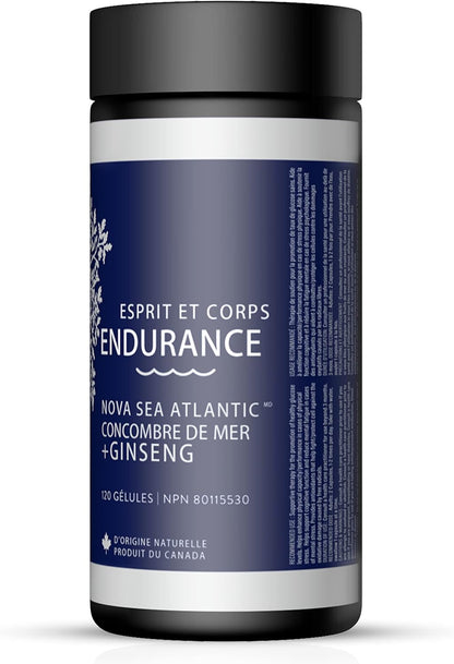 Nova Sea 大西洋海參+人參增強耐力膠囊 - 120粒，抗氧化，能量和循環支持
