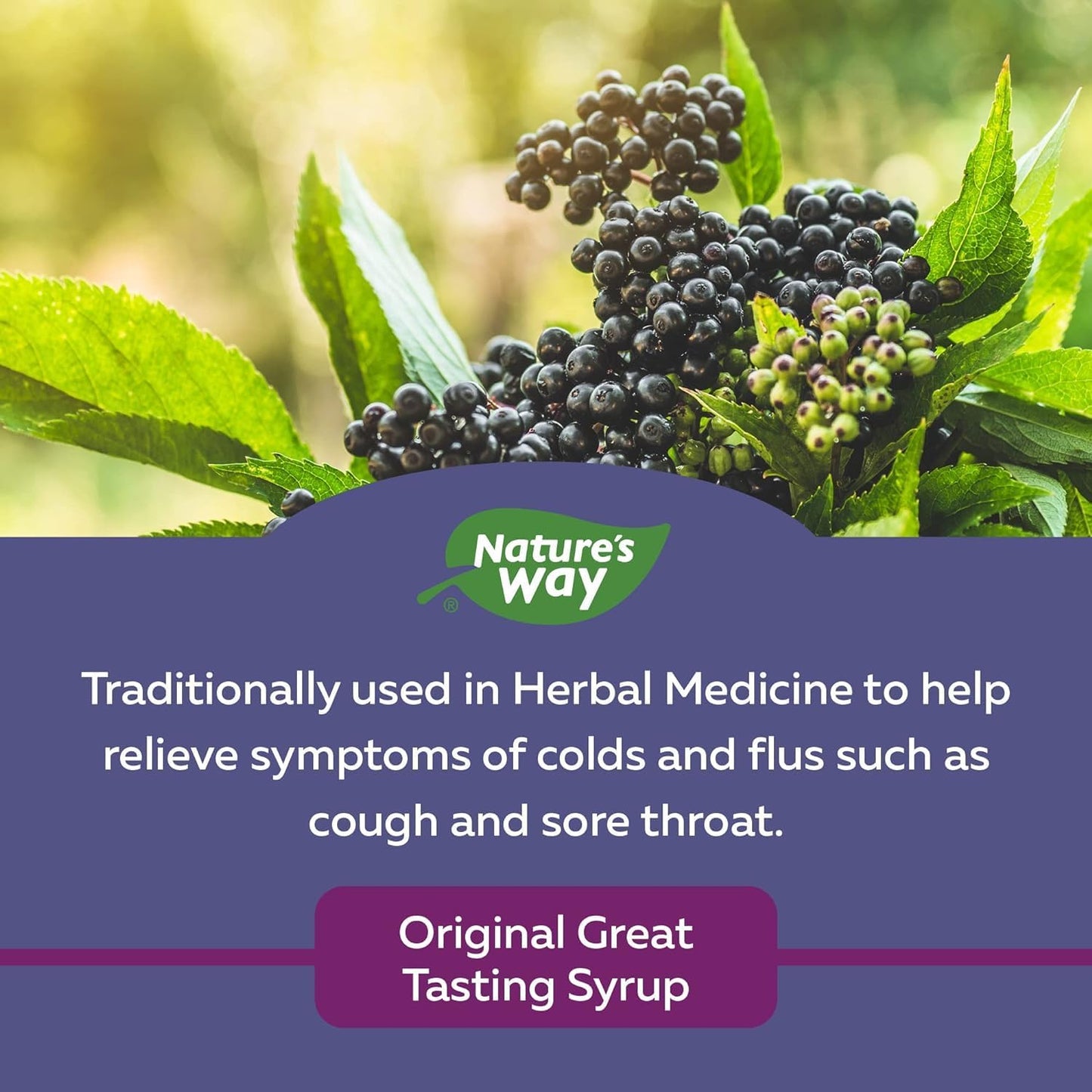 Nature's Way 接骨木免疫原味感冒和流感護理接骨木軟糖，含維生素 C 和鋅 & 接骨木感冒和流感護理原味 - 草藥中使用的接骨木糖漿