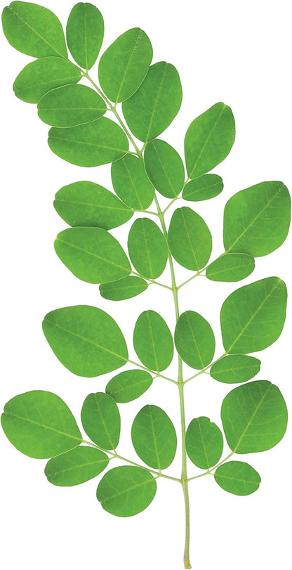 Prairie Naturals Organic Moringa Leaf Powder - 200 Gram