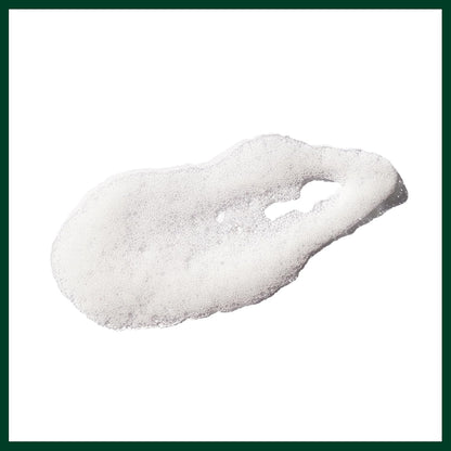 Aveda Outer Peace 泡沫洁面乳 | 适合痤疮肌肤的日常洁面乳 | 含强效植物提取物，125ml