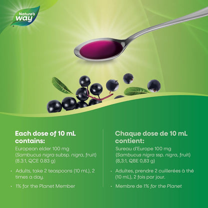 Nature's Way 接骨木感冒和流感护理原味 - 草药接骨木糖浆，有助于缓解成人症状（咳嗽和喉咙痛），120 毫升