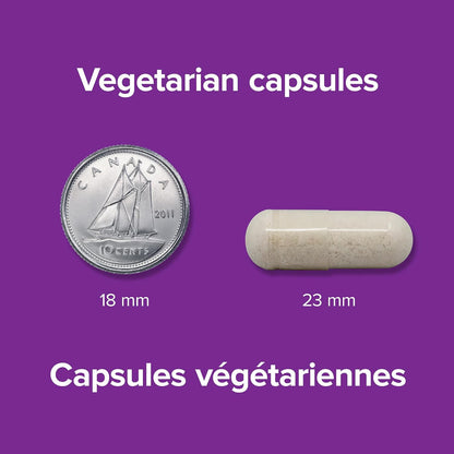 Webber Naturals 南非醉茄 + 鎂，120 粒膠囊，有助於降低皮質醇和緩解壓力症狀，純素