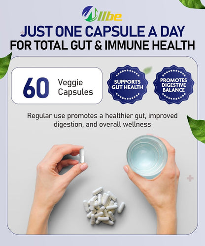 ALLBE ProbioCan 1000 亿 CFU - 含 11 种菌株的男性和女性每日益生菌 - 嗜酸乳杆菌和加氏乳杆菌 - 肠道健康和缓解腹胀 - 保质期长、纯素、非转基因 60 粒胶囊