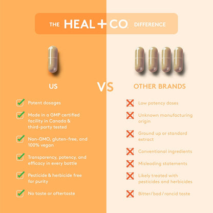 HEAL + CO. 紫锥菊补充剂 | 高效 10:1 提取物，每份 5000 毫克 | 免疫支持 | 120 x 500 毫克胶囊