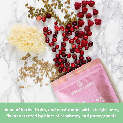 Sprout Living Epic Protein Pro 膠原蛋白，2 磅