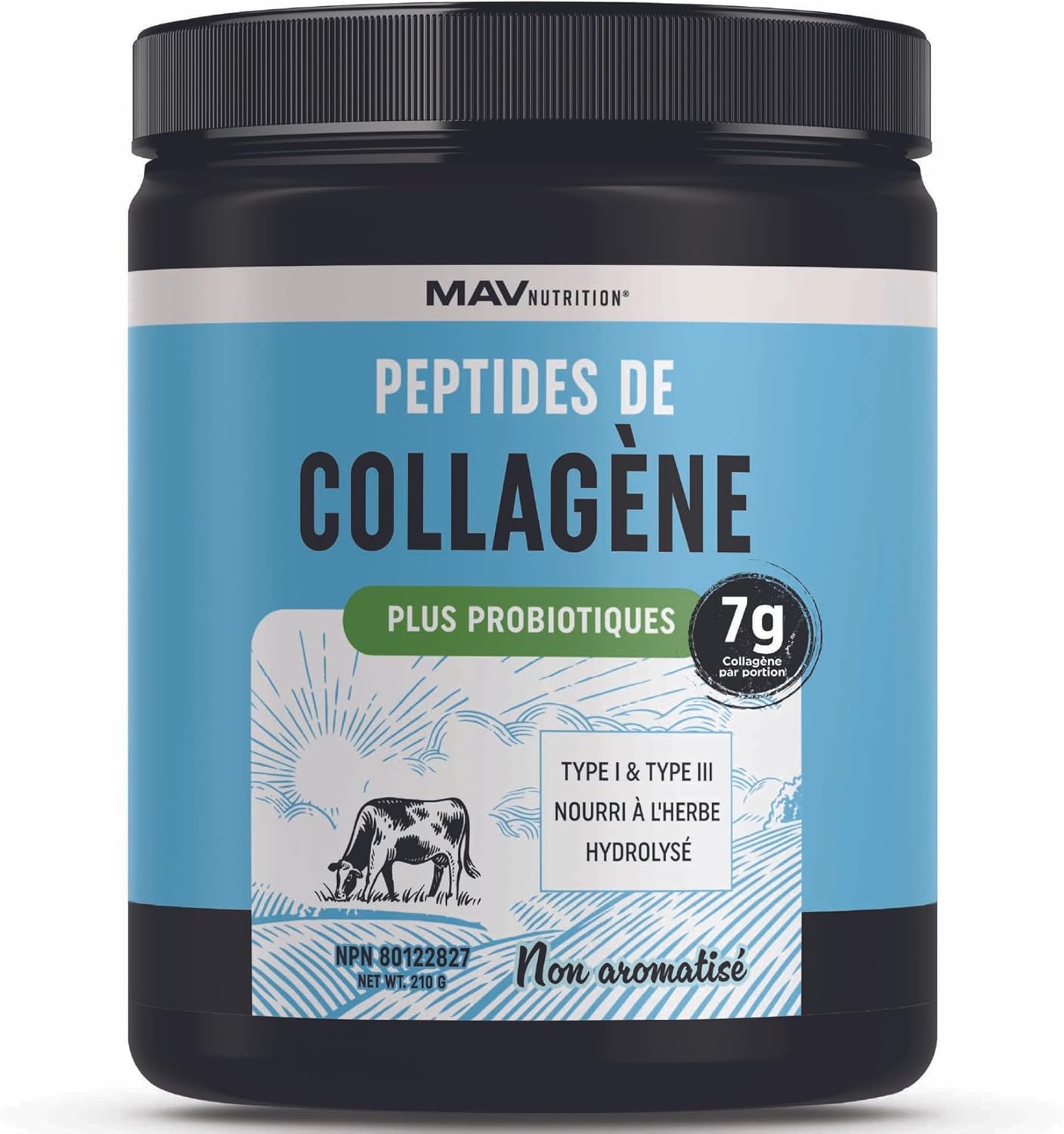 Collagen Powder + Probiotics Supplement | Made in Canada | Grass Fed Hydrolyzed Type 1 & Type 3 Collagen Peptides | Hair, Skin, Nails & Gut Health Support | 7000mg Per Serving | 210g, 1 Month Supply