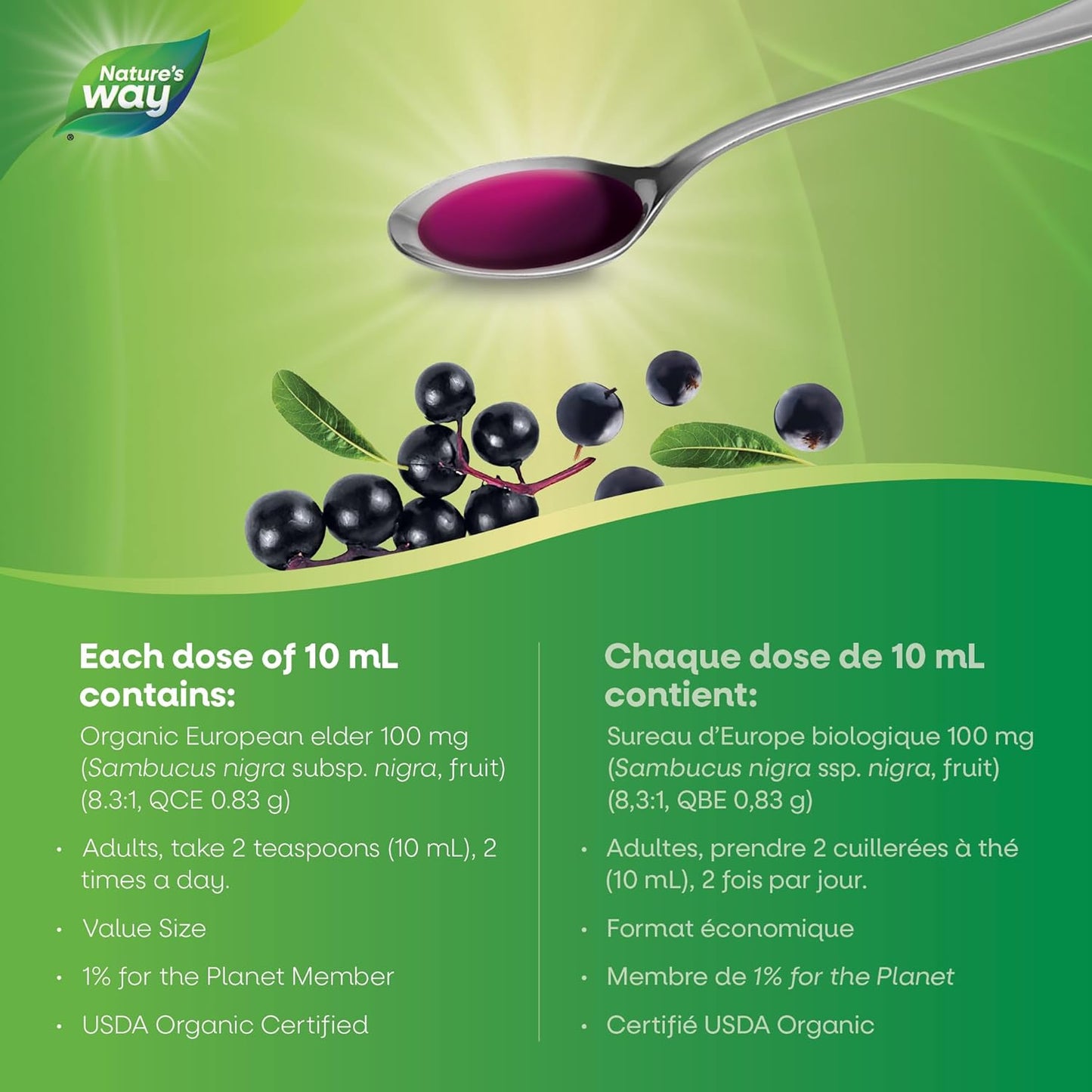 Nature's Way 有机接骨木糖浆感冒和流感护理 - 草药接骨木糖浆，帮助缓解成人症状（咳嗽和喉咙痛），240 毫升