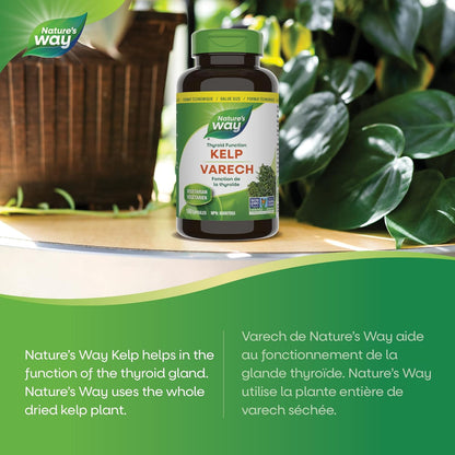 Nature’s Way 海带 - 海带碘补充剂，支持甲状腺功能 - 非转基因 - 180 粒素食胶囊，超值装