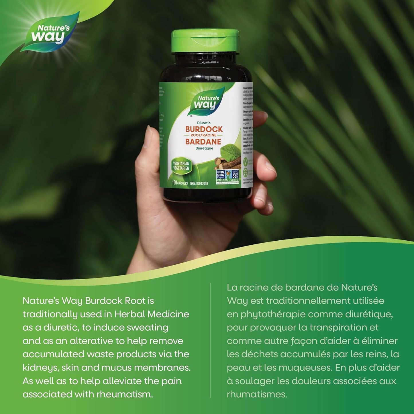 Nature's Way 优质牛蒡根胶囊 - 草本利尿剂和风湿病缓解剂，非转基因，100 粒素食胶囊