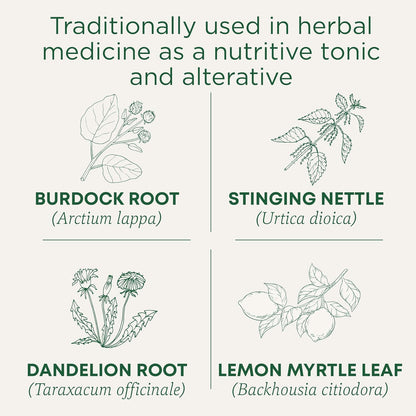 Traditional Medicinals - 有机日常排毒柠檬草本茶（6 包）- 含荨麻和牛蒡根，可清除体内积聚的废物 - 共 96 个茶包