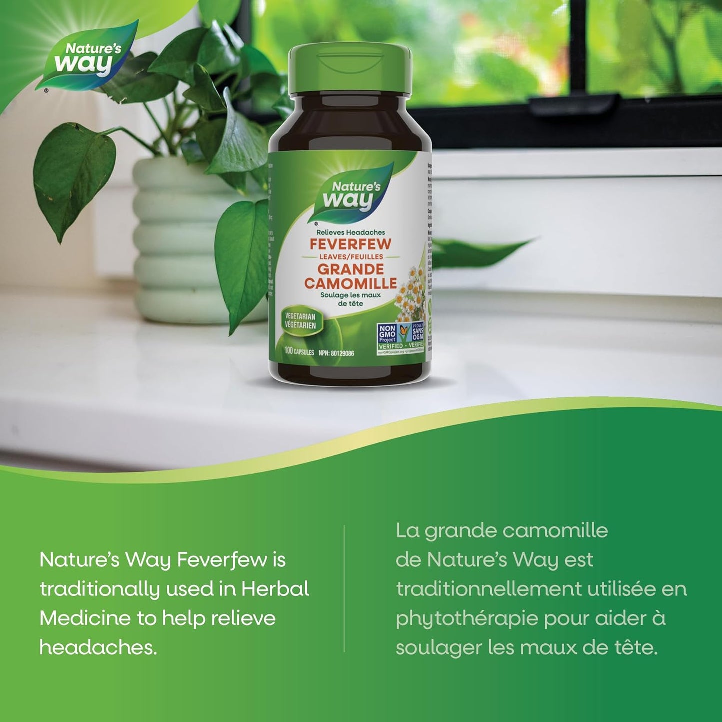 Nature's Way Feverfew Leaves, Helps Relieve Headaches, 380mg of Feverfew herb per capsule, 100 Vegetarian Capsules