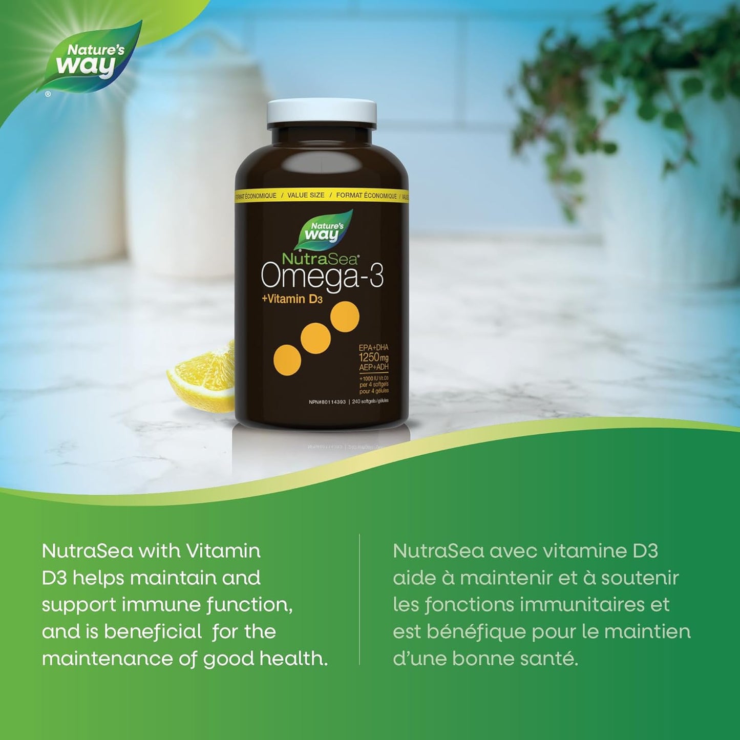 Nature's Way NutraSea Omega 3 + 維生素 D 軟膠囊，含魚油補充劑 - 檸檬味 - 為成人和 6 歲以上兒童提供心臟、大腦、骨骼和免疫支持 - EPA 和 DHA + 1000IU D3，240 粒軟膠囊
