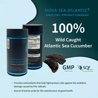 Nova Sea 大西洋野生海参补充剂胶囊，抗氧化健康能量补充剂，含岩藻糖基化硫酸软骨素、胶原蛋白糖苷、维生素、矿物质