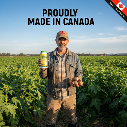 miNATURALS Pure Inulin Fiber Powder - Natural Prebiotic Dietary Fibre Supplement - Made from Organic Jerusalem Artichoke - (340g - 106 Doses)