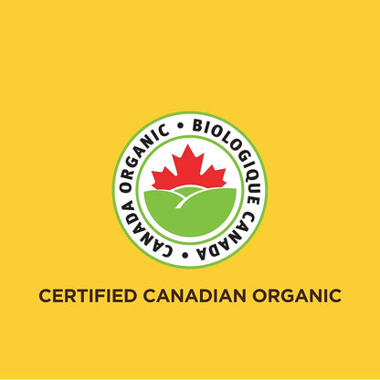 New World Foods Peanut Butter, Crunchy Salted Organic 500g