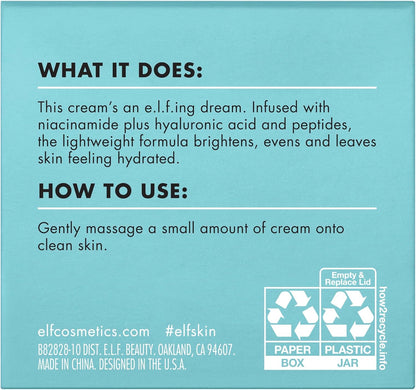 e.l.f. Holy Hydration! Face Cream - Fragrance Free, Moisturizes & Softens Skin, Quick-Absorbing & Ultra-Hydrating, 1.8 Oz (50g)