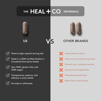 HEAL + CO. Shilajit – Boosts Energy, Supports Hormonal Balance & Enhances Vitality Naturally, 100% Pure Himalayan Shilajit, 90 Vegan Capsules