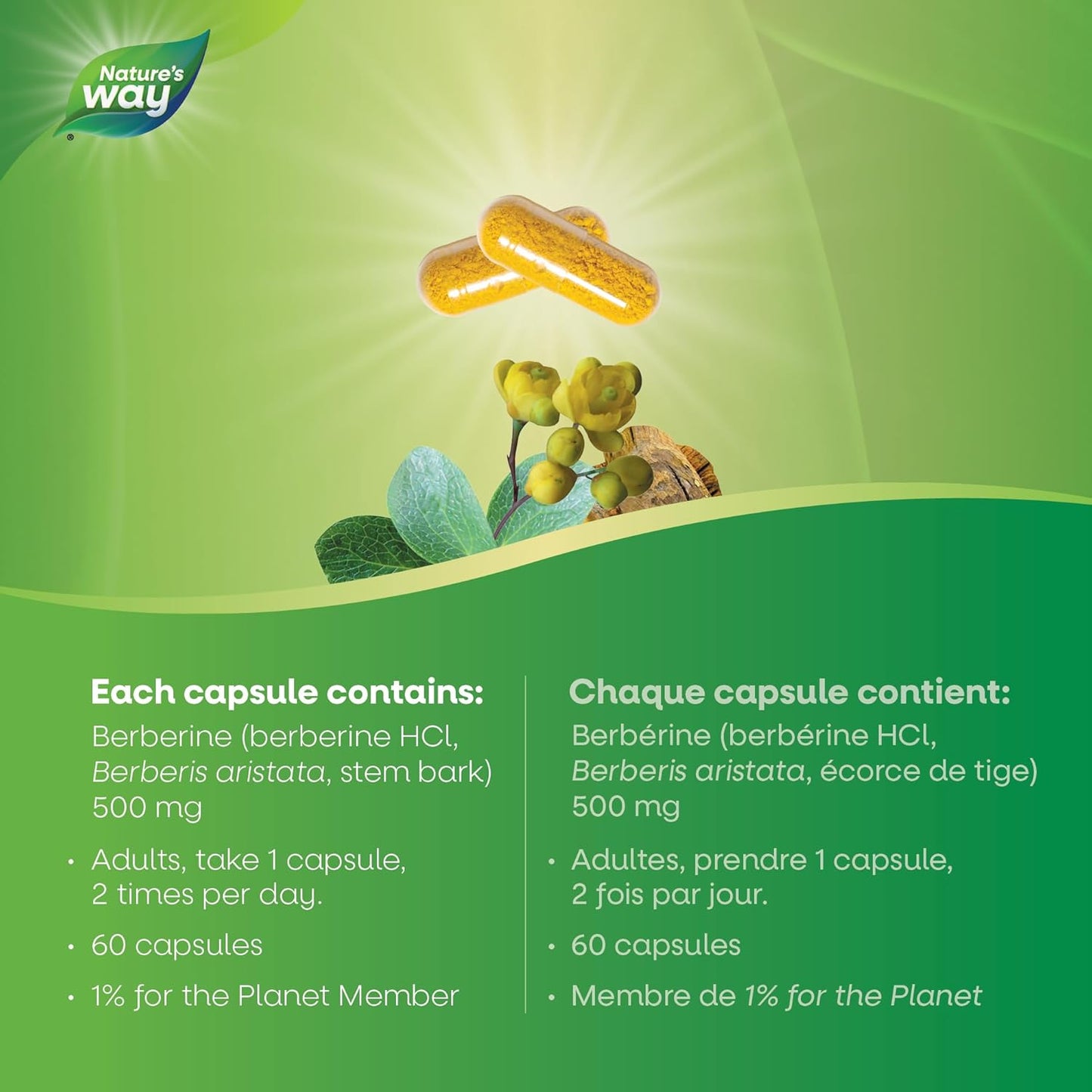 Nature’s Way 小檗碱，含 500 毫克盐酸小檗碱，有助于维持健康的葡萄糖代谢和总胆固醇水平，素食，60 粒胶囊