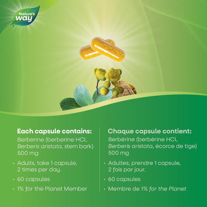 Nature’s Way 小檗碱，含 500 毫克盐酸小檗碱，有助于维持健康的葡萄糖代谢和总胆固醇水平，素食，60 粒胶囊