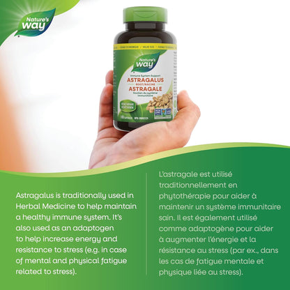 Nature's Way 黄芪根，免疫系统支持，超值装，180 粒素食胶囊