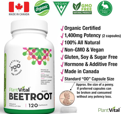 PlantVital Organic Beetroot 1400mg per day -Made in Canada, Health Canada Licensed- Antioxidant Beet Root Supplement - Protects Against Oxidative Damage and Free Radicals -120 Capsules, 2-Month Supply