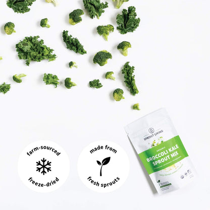 Sprout Living 西蘭花和羽衣甘藍有機芽菜混合物，冷凍乾燥超級食品綠色粉，100% 純素，純素，非基因，無麩質（4 盎司，32 份）