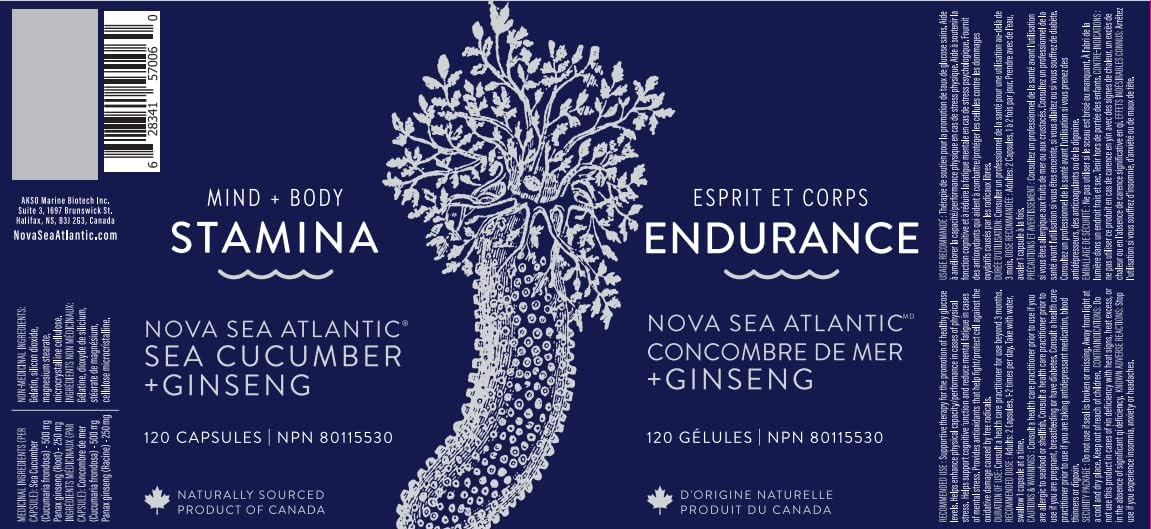 Nova Sea 大西洋海參+人參增強耐力膠囊 - 120粒，抗氧化，能量和循環支持