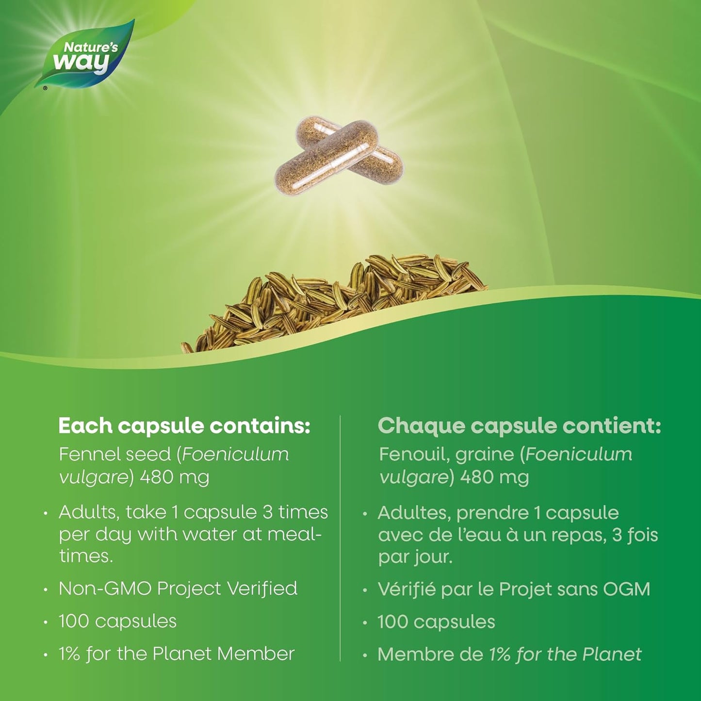 Nature's Way 优质茴香籽胶囊 - 草本助消化和止咳，素食，非转基因，100 粒