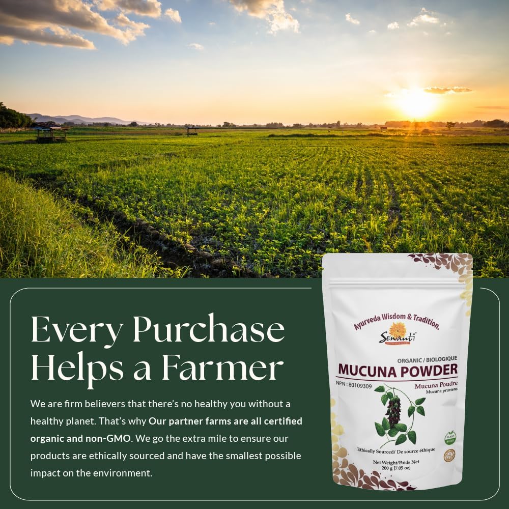 Organic Mucuna Powder 200g/ NPN 80109309/ Traditional Nutritive Tonic/Cowhage/Mucunapruriens