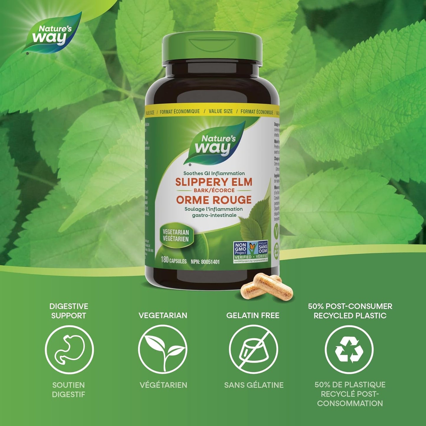 Nature's Way 榆树皮提取物 – 舒缓胃肠道 (GI) 炎症的草本补充剂 – 非转基因，180 粒素食胶囊，超值装