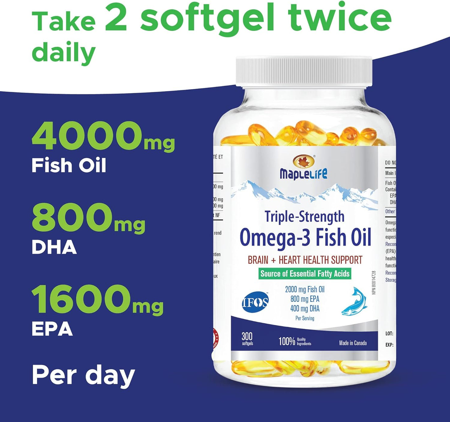 MapleLife Nutrition® - 三重强度 - Omega-3 鱼油 - 大脑 + 心脏健康 - 必需脂肪酸 - DHA、EPA - 鱼油软胶囊 2000 毫克 - 300 粒软胶囊
