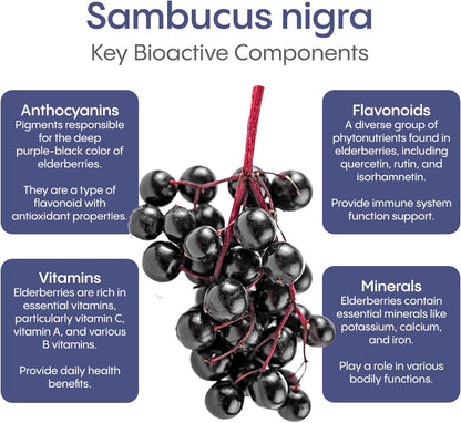 HydraLyte Plus Immunity - Electrolytes + Vitamin C Powder + Elderberry (Sambucus Nigra 35:1 Concentrated Black Elderberry Powder) + Zinc - Daily Hydration Powder With Immune Support for Ages 19+