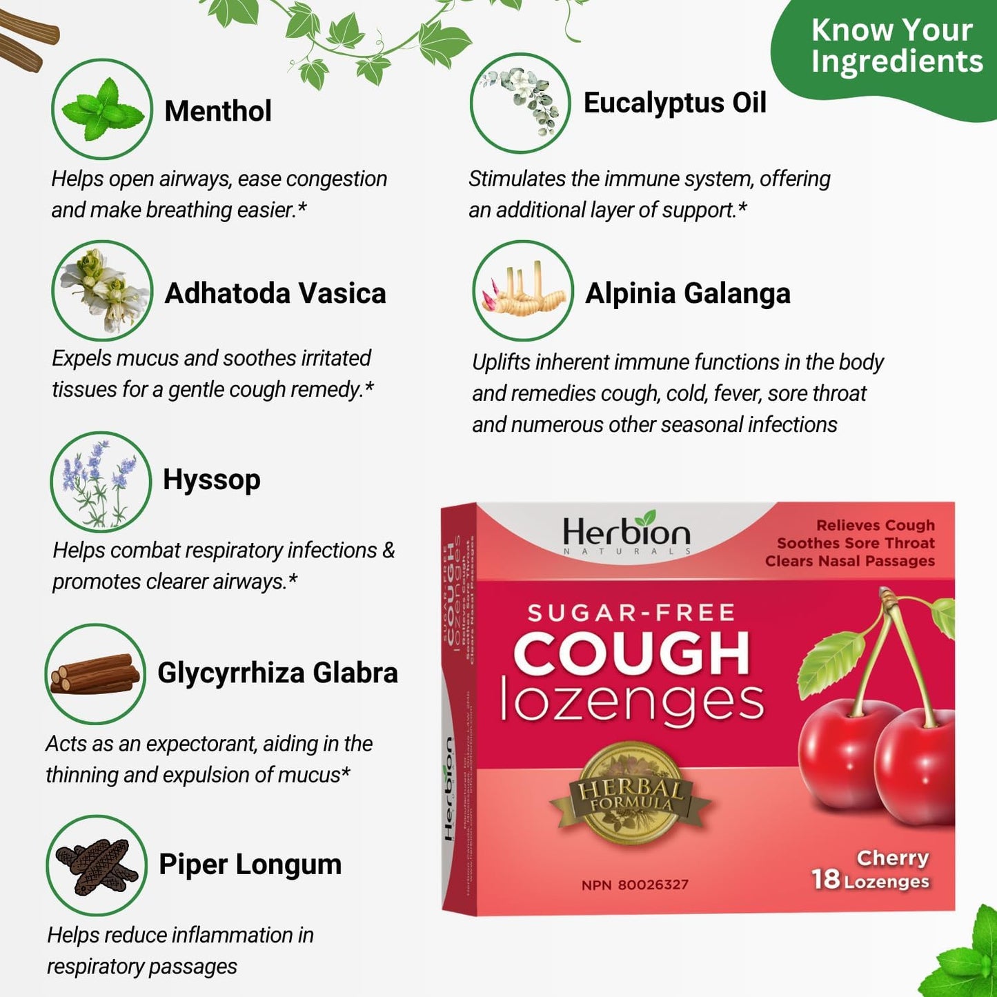 Herbion Naturals 无糖止咳润喉糖，天然樱桃味，18 粒润喉糖 - 缓解咳嗽和鼻塞；舒缓咽喉痛；适用于成人和 12 岁及以上儿童