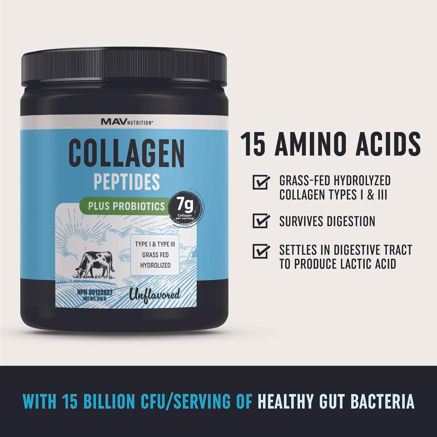 Collagen Powder + Probiotics Supplement | Made in Canada | Grass Fed Hydrolyzed Type 1 & Type 3 Collagen Peptides | Hair, Skin, Nails & Gut Health Support | 7000mg Per Serving | 210g, 1 Month Supply