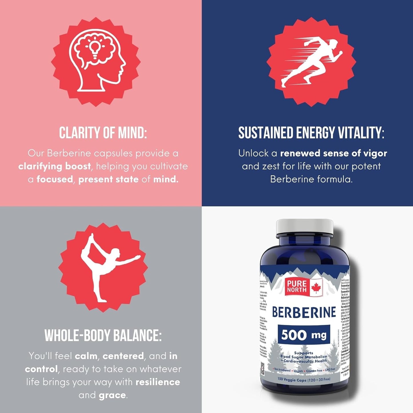 Pure North Naturals - 小蘗鹼 500 毫克，150 粒素食膠囊，75 天用量 - 支持血糖代謝 + 心血管健康和腸道健康 - 經第三方測試 - 加拿大配製和製造