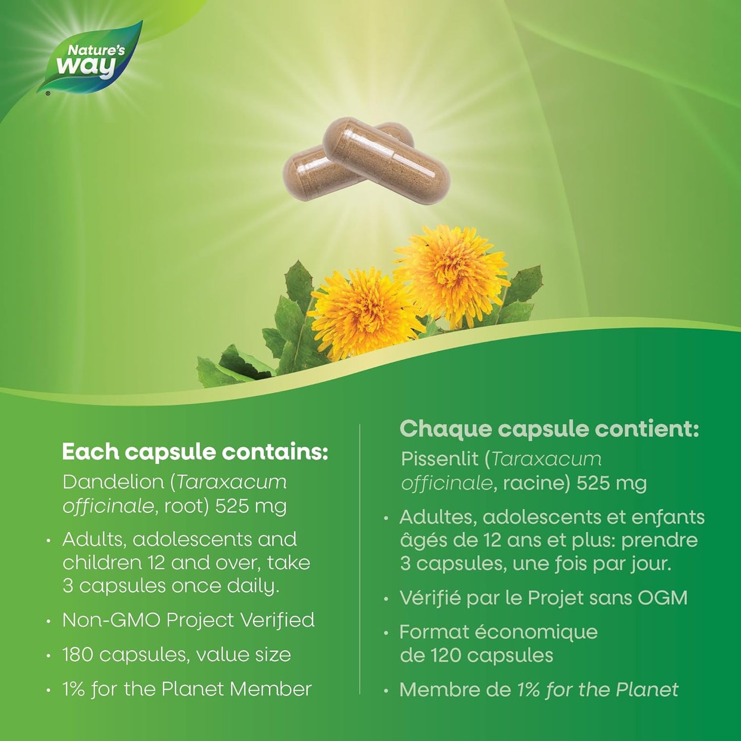 Nature's Way 蒲公英根 - 消化补充剂 - 利尿泻药 - 非转基因认证 - 180 粒素食胶囊，超值装