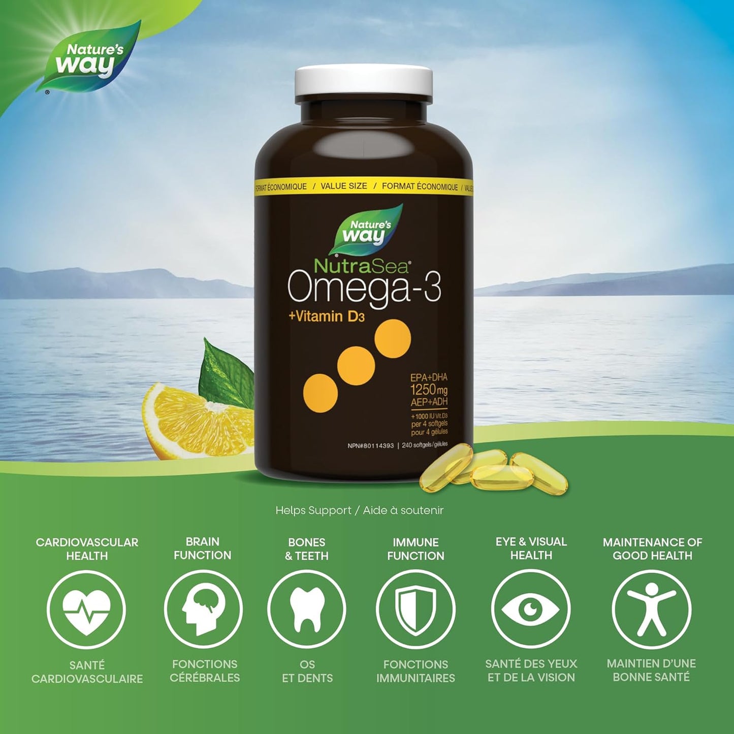 Nature's Way NutraSea Omega 3 + 維生素 D 軟膠囊，含魚油補充劑 - 檸檬味 - 為成人和 6 歲以上兒童提供心臟、大腦、骨骼和免疫支持 - EPA 和 DHA + 1000IU D3，240 粒軟膠囊