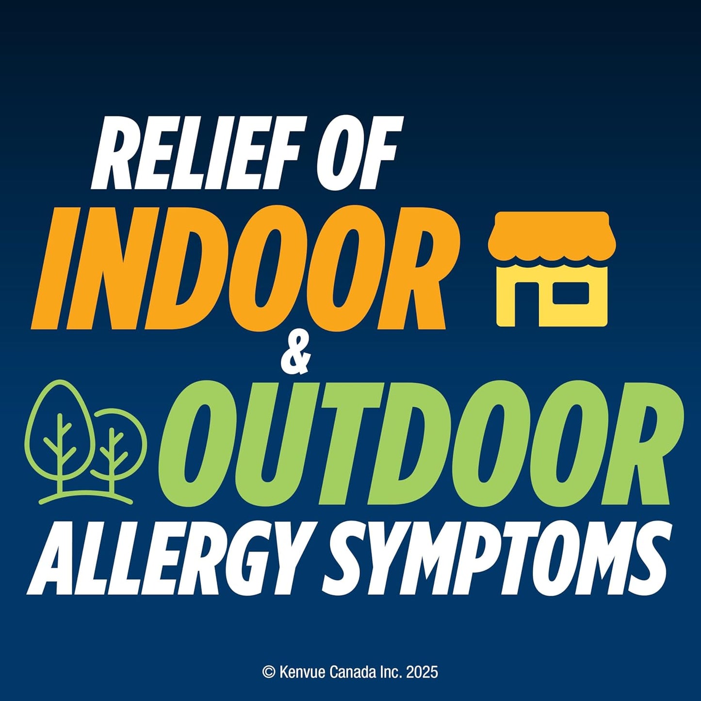 Reactine Liquid Allergy Medicine - For Itchy Eyes, Hives, Runny Nose - 24 Hour Allergy Relief - White Grape Flavour, 118 mL