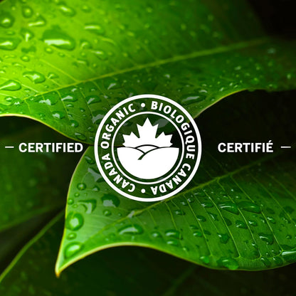 Nabob 有机混合研磨咖啡，915克