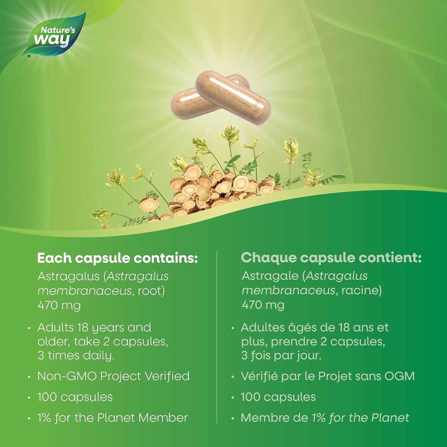 Nature's Way 黄芪根，免疫系统支持，100 粒素食胶囊