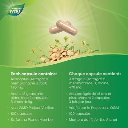 Nature's Way 黄芪根，免疫系统支持，100 粒素食胶囊