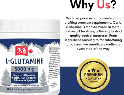 Pure North Naturals - L-谷氨酰胺 5000 毫克，250 克粉劑，50 份 - 腸道健康和消化健康 - 支持肌肉修復和支持免疫系統 - 經第三方測試 - 加拿大配製和製造