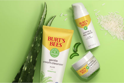 Burt's Bees Sensitive Hydrating Gentle Daily Face Cream Moisturizer Face Lotion for Sensitive Skin with Aloe and Rice Milk, 98.9% Natural Origin, Developed with Dermatologists, 51g