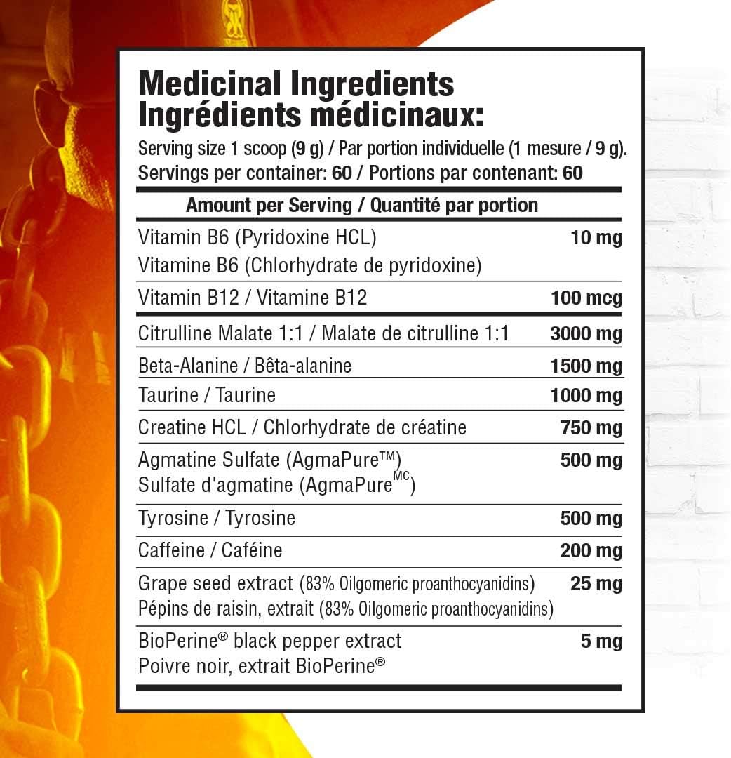 MAMMOTH PUMP – 運動前粉末，卓越的肌肉泵感，增強力量和耐力，補充爆發力和能量，提高專注力，快速恢復，減輕酸痛（30 份，藍莓味）