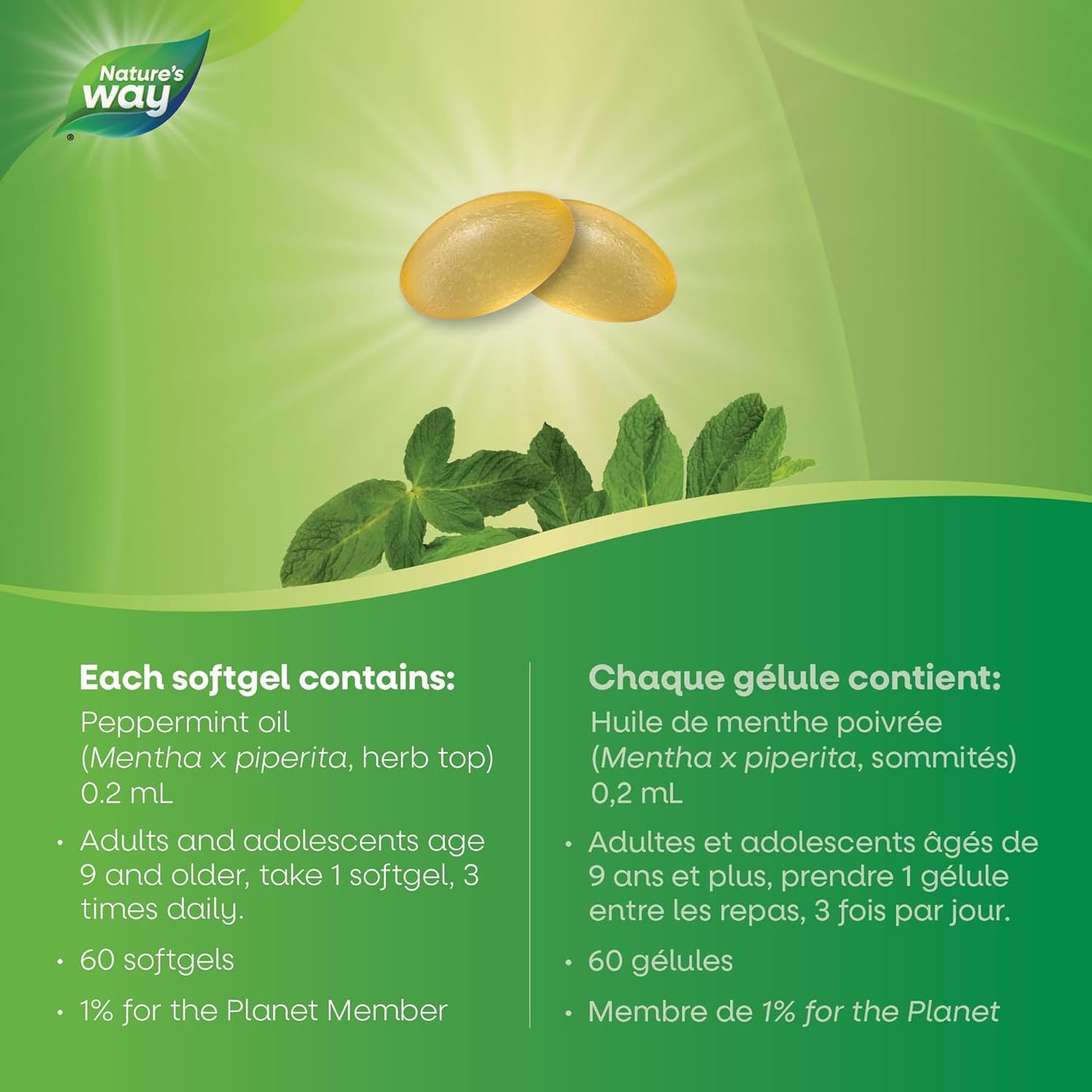 Nature’s Way Pepogest 薄荷油胶囊 - 缓解肠易激综合征 (IBS) 症状 - 有助于减轻腹痛、胀气和腹胀 - 60 粒胶囊