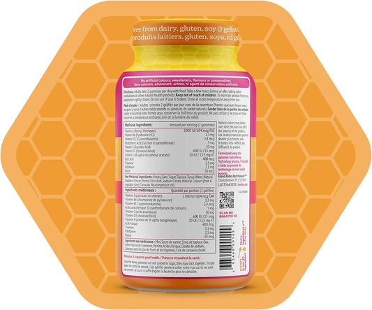 Honibe 成人複合維生素軟糖 | 加拿大製造的蜂蜜基維生素 | 男女適用咀嚼軟糖複合維生素 | 每日必需維生素和礦物質 | 素食維生素軟糖 | 70 粒軟糖 |