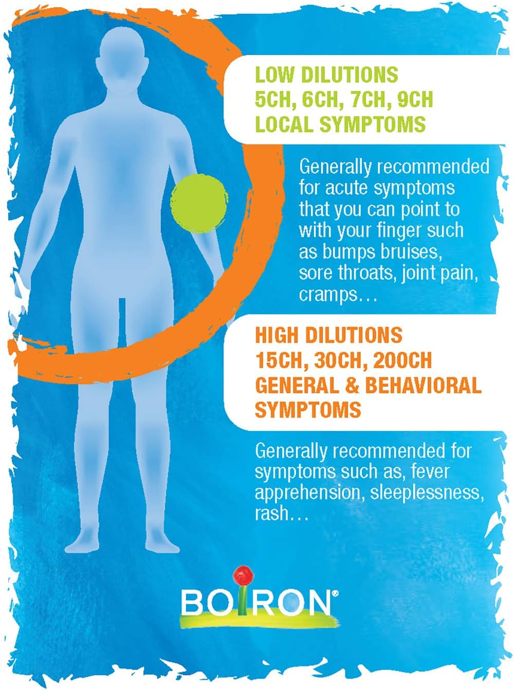 Arnica Composé 管装，4 克，顺势疗法药物，用于缓解肌肉和关节疼痛、受伤肿胀、瘀伤和擦伤，来自天然来源的植物，包括山金车