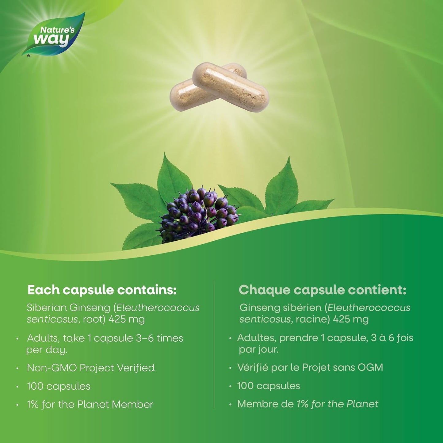 Nature's Way 西伯利亚人参根胶囊 – 有助于提高精神和身体机能 - 非转基因 – 100 粒素食胶囊