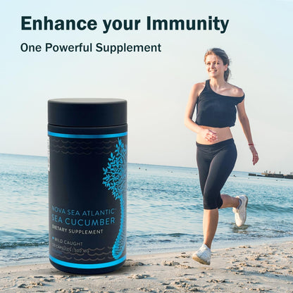 Nova Sea 大西洋野生海参补充剂胶囊，抗氧化健康能量补充剂，含岩藻糖基化硫酸软骨素、胶原蛋白糖苷、维生素、矿物质